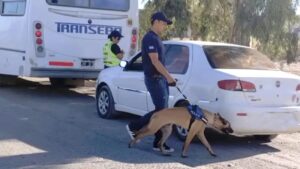 Lee más sobre el artículo Fin de semana largo con amplios controles en rutas y terminales