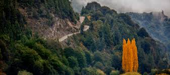 Lee más sobre el artículo Hallaron sin vida a una mujer que era buscada en El Manso