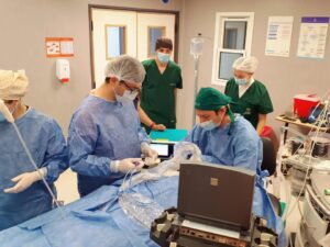 Lee más sobre el artículo Se realizó en Argentina la primera ablación por microondas de tiroides