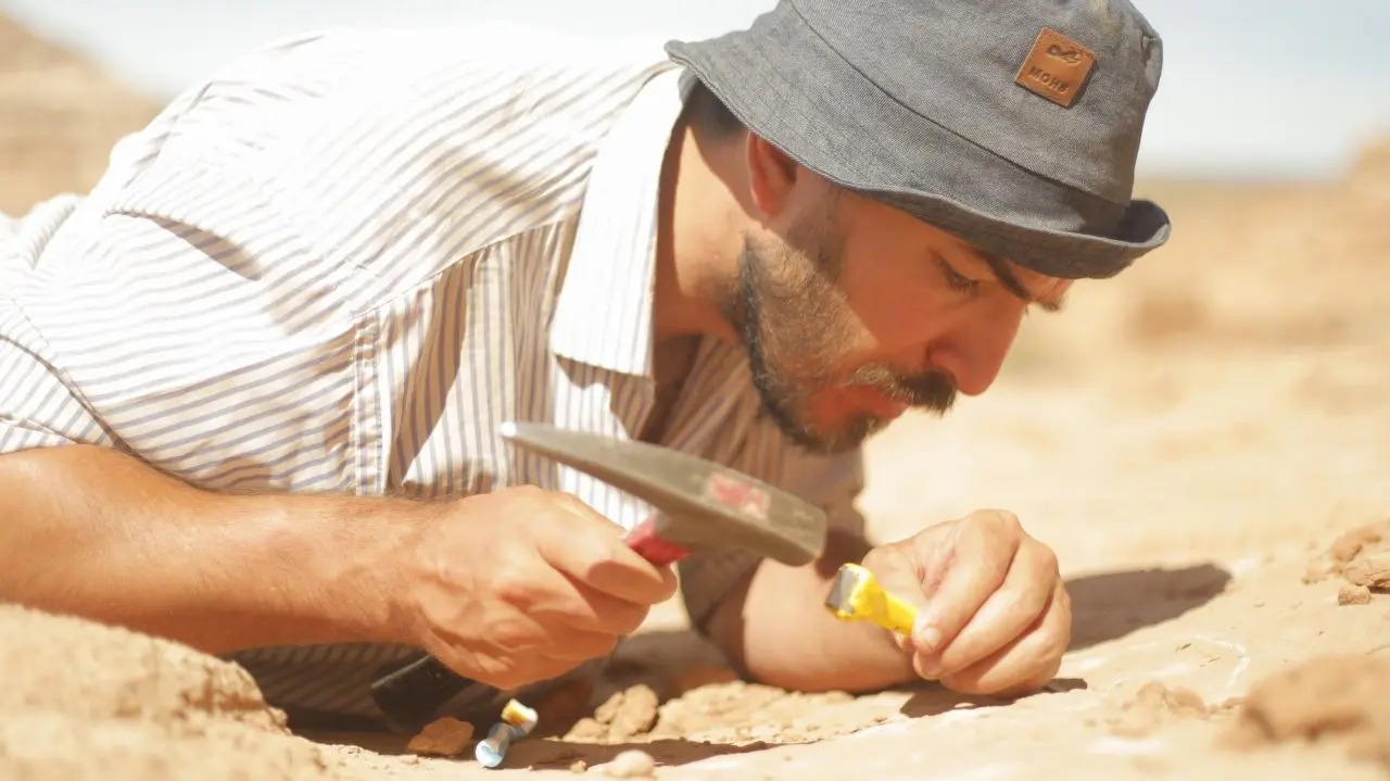En este momento estás viendo Se produjo un nuevo hallazgo fósil en Rio Negro