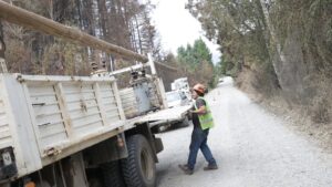 Lee más sobre el artículo Emergencia ígnea: refuerzan la poda preventiva y amplían el operativo