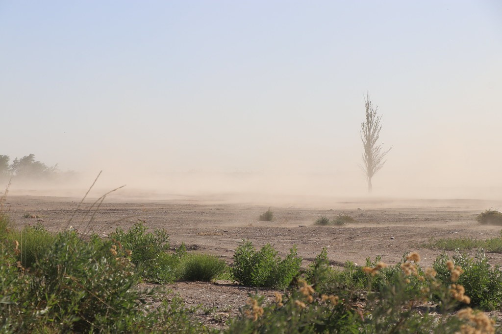 En este momento estás viendo Alerta Naranja por vientos intensos en varias zonas de la región