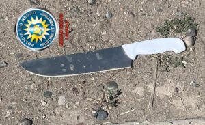 Lee más sobre el artículo Viajaba en el colectivo urbano armado con una cuchilla de carnicero