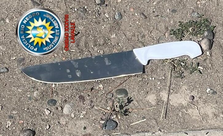 En este momento estás viendo Viajaba en el colectivo urbano armado con una cuchilla de carnicero