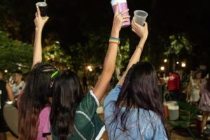 Lee más sobre el artículo UPD con saldo tranquilo en Cipolletti: solo una pelea aislada entre menores