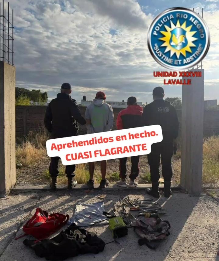 En este momento estás viendo Dos hombres detenidos tras robar herramientas de un camión en Viedma