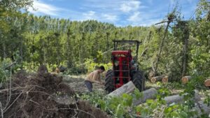 Lee más sobre el artículo Granizo: Provincia relevó pérdidas de hasta el 90% y daño en invernaderos