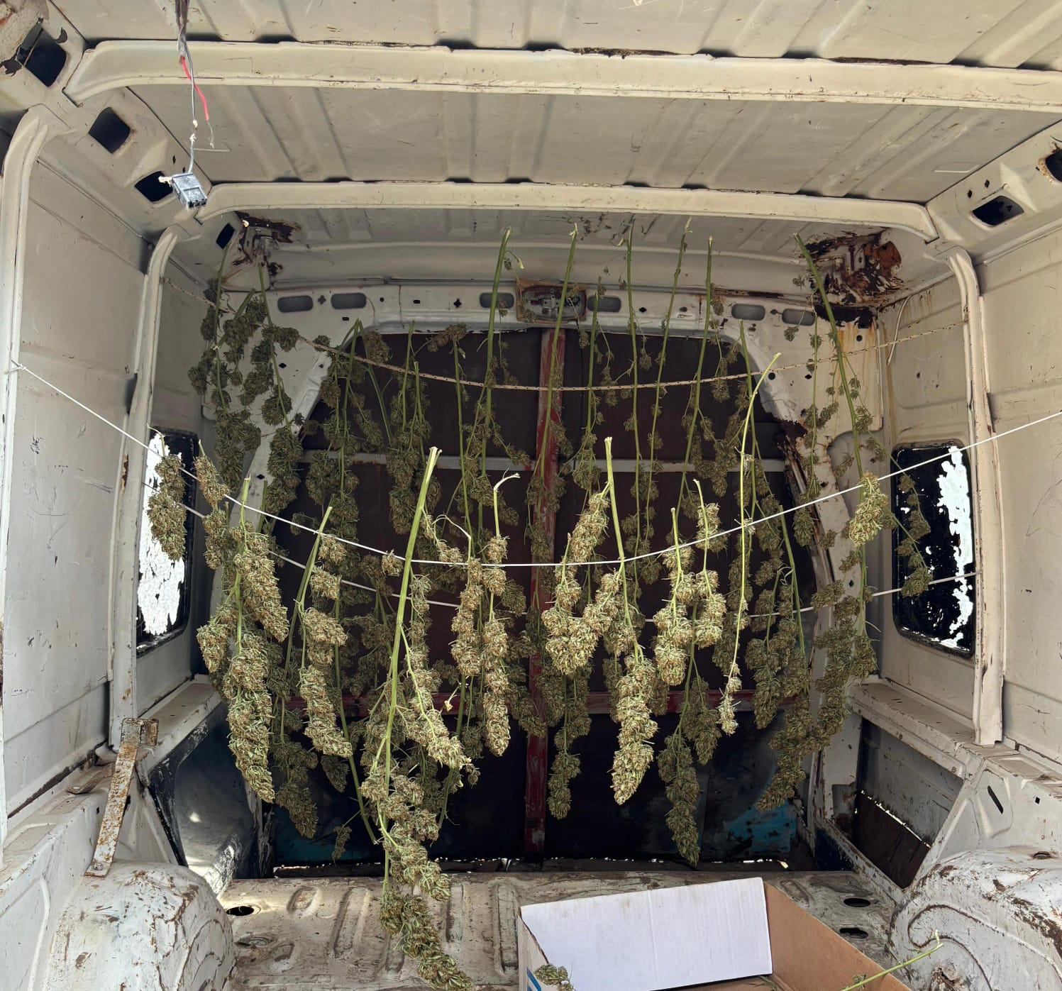 Lee más sobre el artículo Incautaron más de un kilo de marihuana lista para vender en Catriel