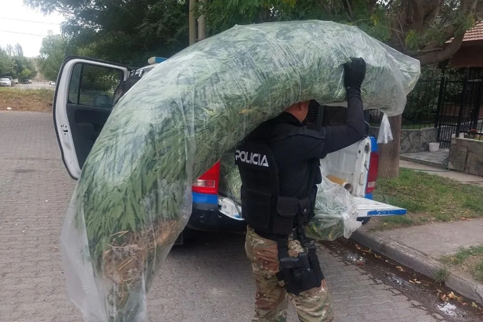 Desarticularon bandas dedicadas al narcomenudeo tras varios allanamientos