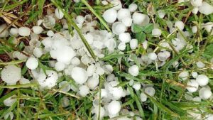 Lee más sobre el artículo Río Negro garantiza acompañamiento a productores tras el granizo