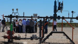 Lee más sobre el artículo Río Negro licita áreas petroleras maduras para garantizar trabajo y producción