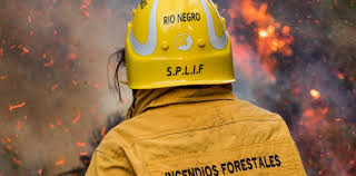 En este momento estás viendo Prevención de incendios: instituciones de la Comarca Andina se reunieron para reforzar el trabajo conjunto