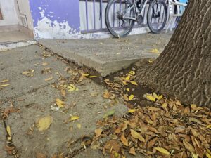 Lee más sobre el artículo Cipolletti refuerza controles y multas a frentistas por veredas en mal estado