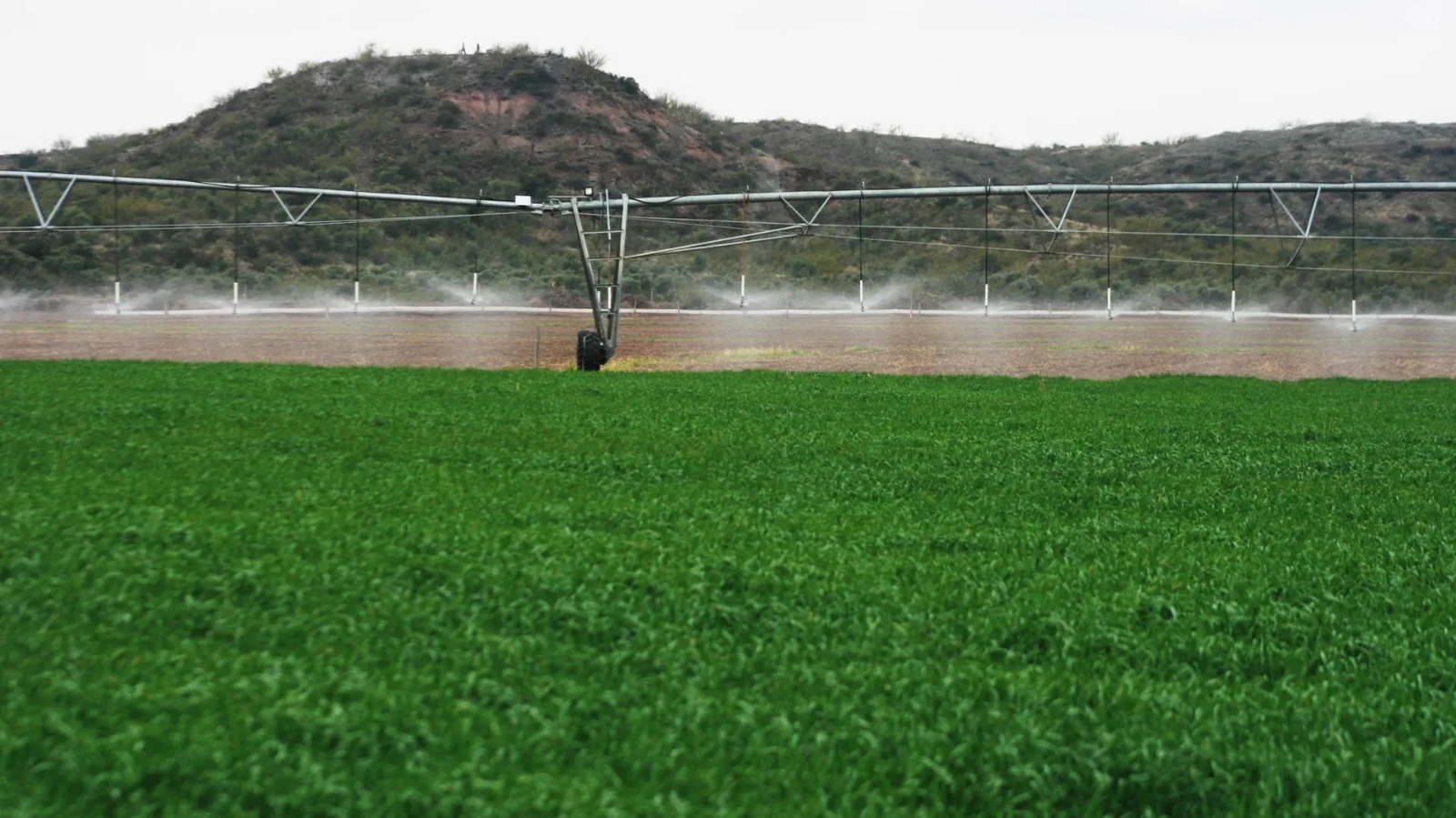 En este momento estás viendo Río Negro implementa alivio fiscal para el riego agrícola con reducción de impuestos