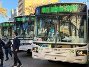 Lee más sobre el artículo Cipolletti: frecuencias, recorridos y la app que facilita el viaje