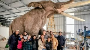 Lee más sobre el artículo El Paleoparque de Comallo sorprende con un mastodonte gigante a escala real