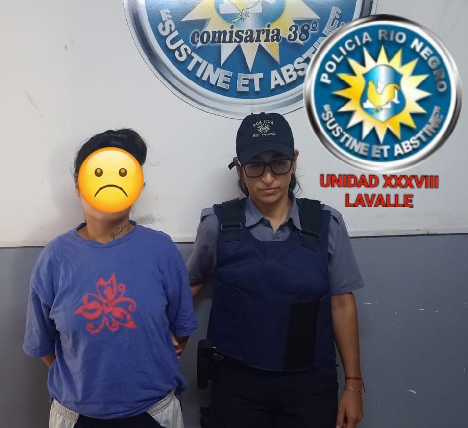 Lee más sobre el artículo Tenía pedido de captura y la detuvieron en el barrio Lavalle de Viedma