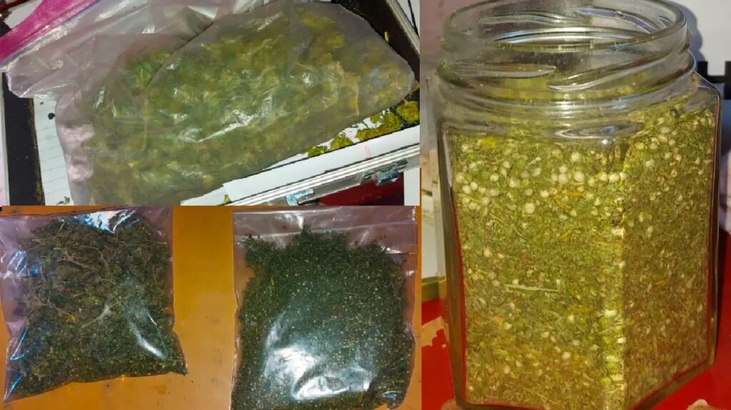 Cipolletti: allanamiento y estupefacientes incautados