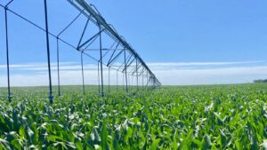 Lee más sobre el artículo Río Negro convoca a jornada clave para la eficiencia hídrica y energética