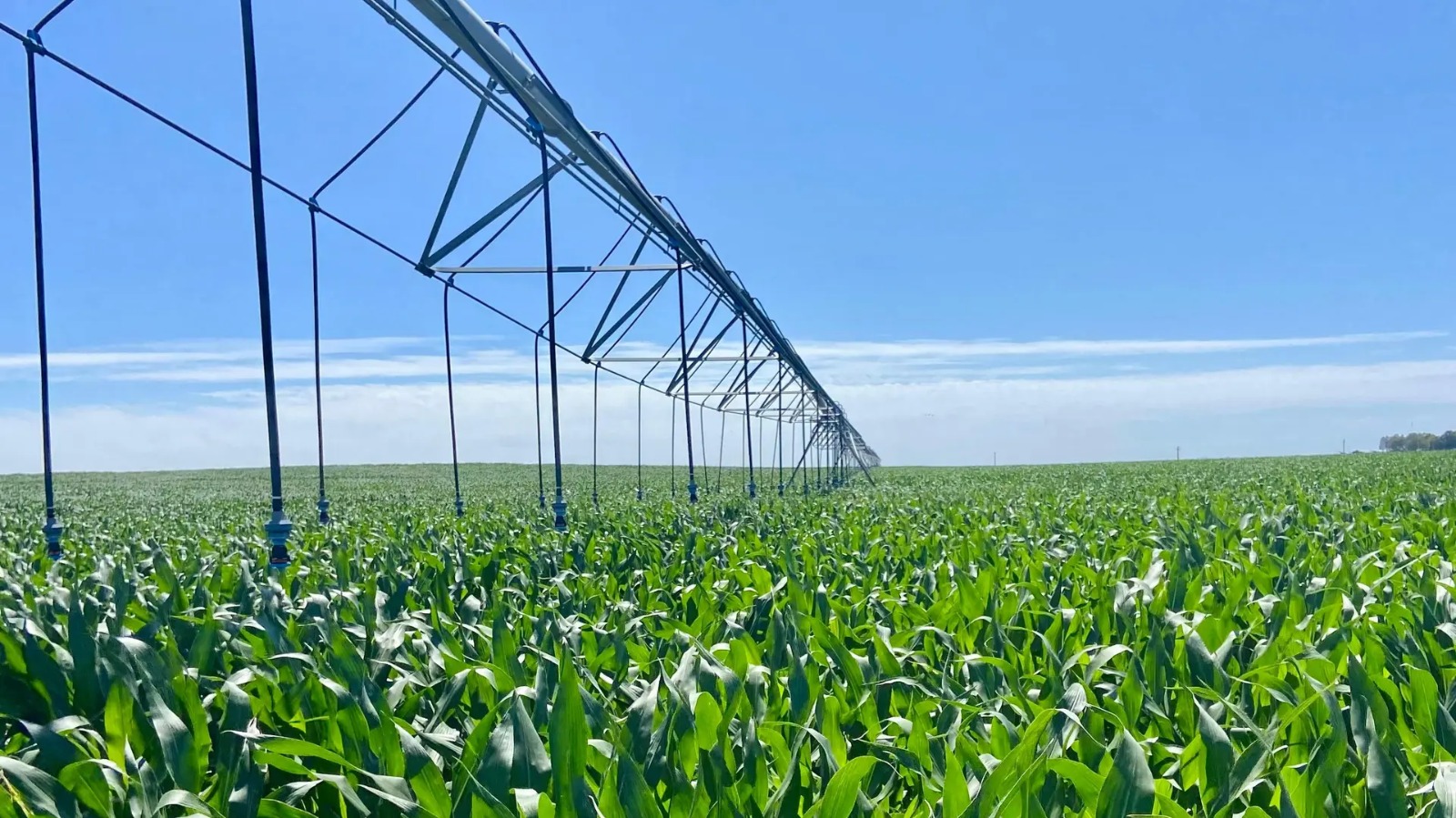 Lee más sobre el artículo Río Negro convoca a jornada clave para la eficiencia hídrica y energética