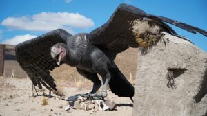 Lee más sobre el artículo El Paleoparque de Comallo se afianza como espacio de identidad y desarrollo