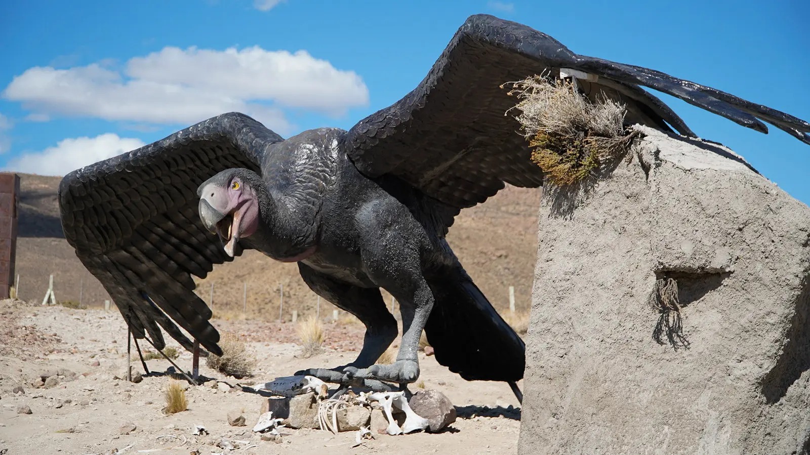 En este momento estás viendo El Paleoparque de Comallo se afianza como espacio de identidad y desarrollo