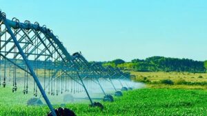 Lee más sobre el artículo Río Negro baja impuestos y logra una mejor producción