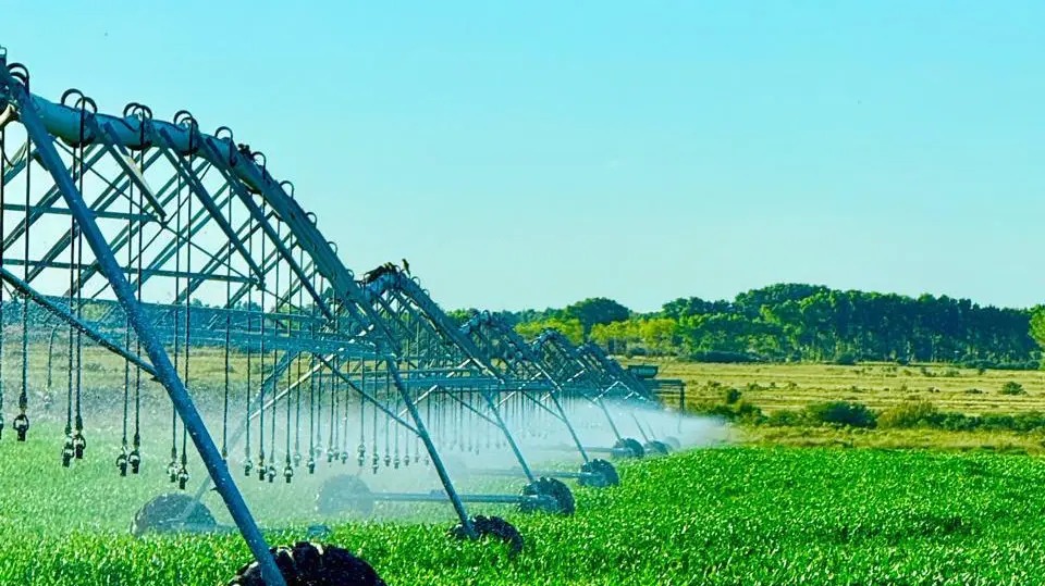 Río Negro baja impuestos y logra una mejor producción