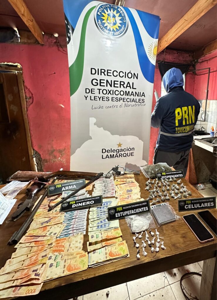 Golpe al narcomenudeo: secuestran cocaína, marihuana y armas