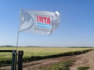 Lee más sobre el artículo Milei impulsa retiros voluntarios en el INTA y busca reducir la planta de trabajadores