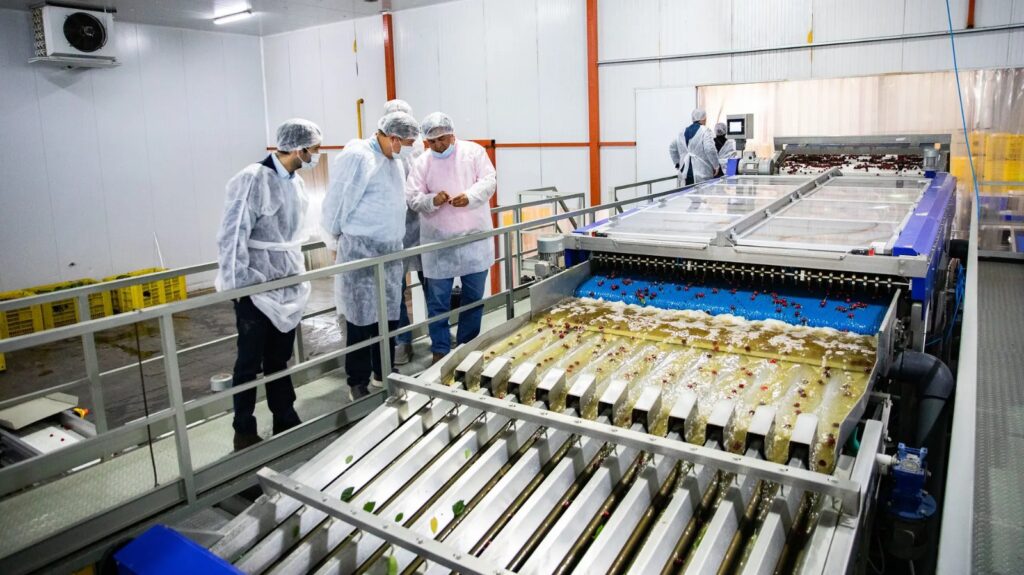 RIMI: qué implica para el desarrollo productivo de Río Negro