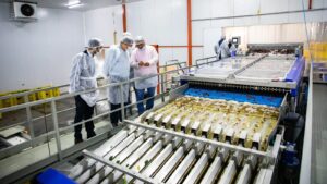 Lee más sobre el artículo RIMI: qué implica para el desarrollo productivo de Río Negro