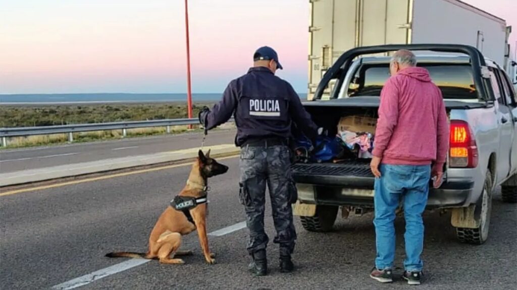 Amplio despliegue antidrogas: controles simultáneos en toda la provincia