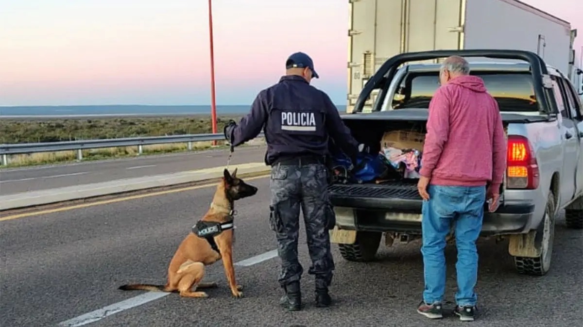En este momento estás viendo Amplio despliegue antidrogas: controles simultáneos en toda la provincia