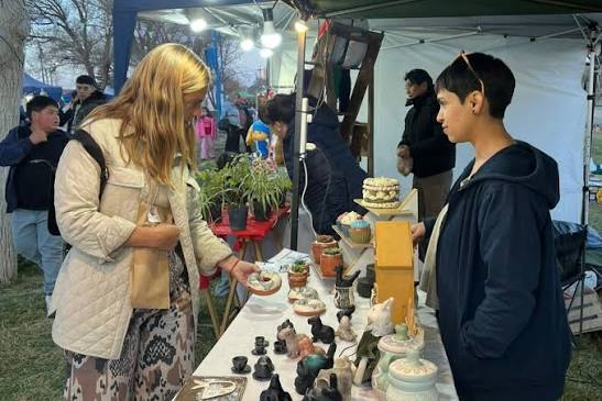 Piden que los feriantes puedan usar polideportivos durante el invierno