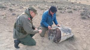 Lee más sobre el artículo Río Negro protege un nuevo hallazgo de bosques petrificados