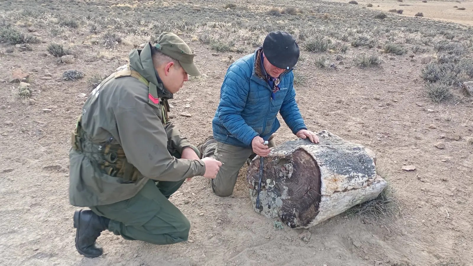 En este momento estás viendo Río Negro protege un nuevo hallazgo de bosques petrificados