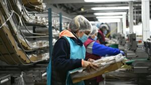 Lee más sobre el artículo Cómo el RIMI se potenciará con herramientas propias en Río Negro