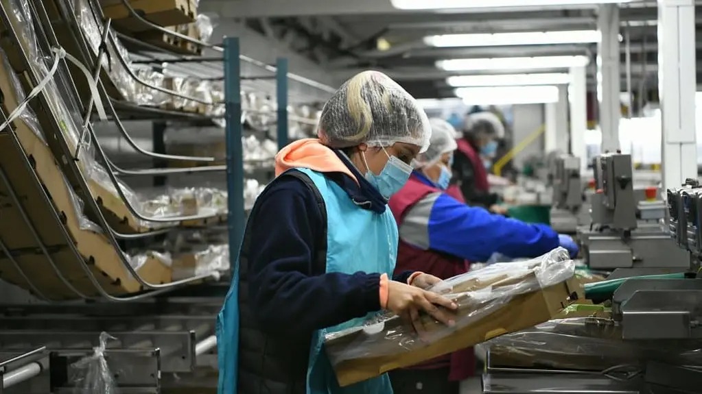 Cómo el RIMI se potenciará con herramientas propias en Río Negro
