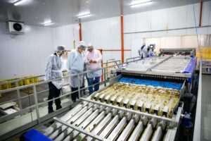 Lee más sobre el artículo Agencia provincial acompañó 370 proyectos productivos en Río Negro