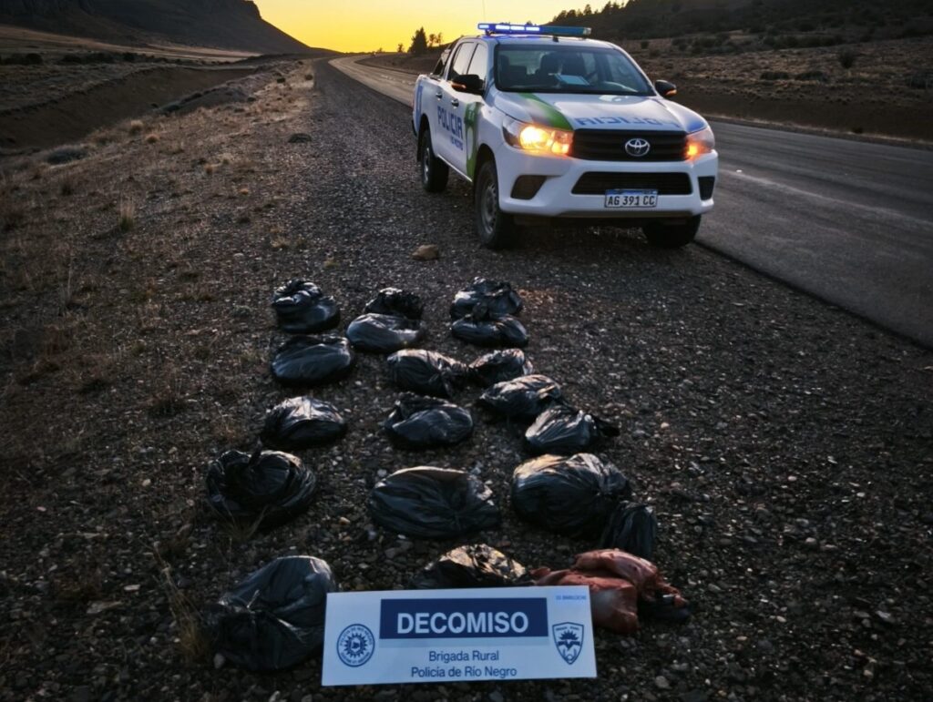Secuestran más de 100 kilos de carne vacuna en Ruta Nacional 23