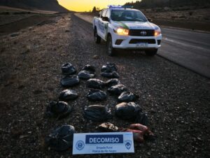 Lee más sobre el artículo Secuestran más de 100 kilos de carne vacuna en Ruta Nacional 23