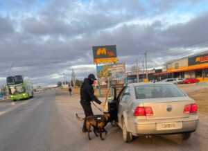 Lee más sobre el artículo Fuerte despliegue de Toxicomanía en las rutas rionegrinas
