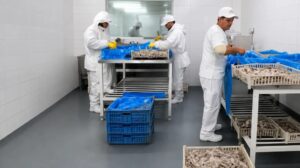 Lee más sobre el artículo Azul Pesquera amplió su capacidad productiva en San Antonio Oeste