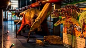 Lee más sobre el artículo El Museo Patagónico ofrece diversas atracciones en vacaciones