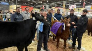Lee más sobre el artículo Rural de Palermo: la genética patagónica brilló, con Río Negro protagonista