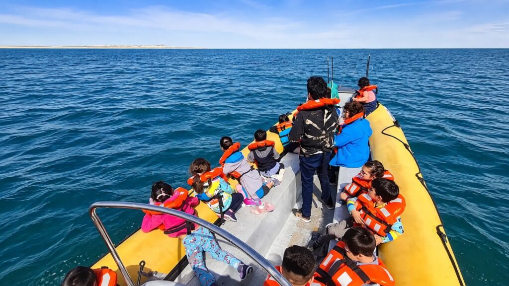 Río Negro definió la propuesta de temporada para el avistaje de ballenas