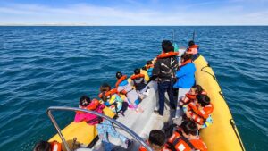 Lee más sobre el artículo Río Negro definió la propuesta de temporada para el avistaje de ballenas
