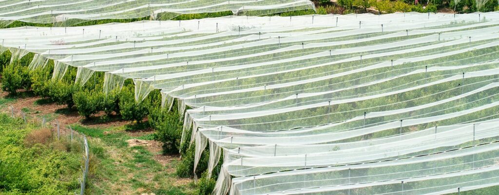 Riego, energía y producción: el plan que financiará el BID en Río Negro