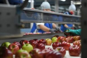 Lee más sobre el artículo SENASA abre inscripción al RENSPA para productores frutícolas